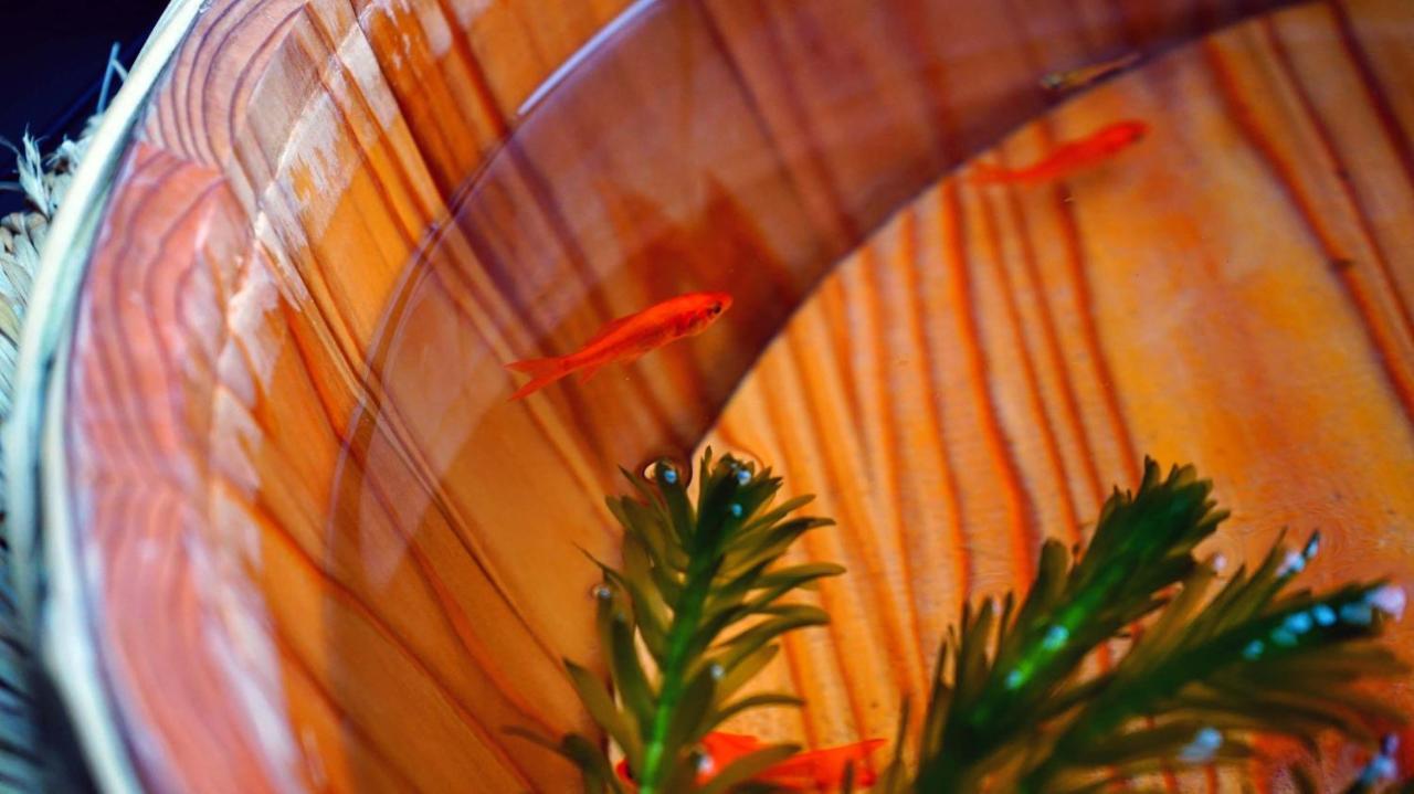 Kyoto Classical House -Murasakian - Ngoại thất bức ảnh